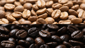 From Bean to Brew: The Science of Roasting Profiles (Light vs. Dark Roast)