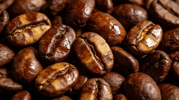 The Science of the Shine: Is Oil on Coffee Beans a Sign of Freshness?
